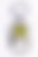 CustomPhoneWalletsNow.com