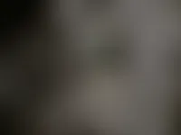 CustomPhoneWalletsNow.com