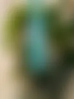 CustomPhoneWalletsNow.com