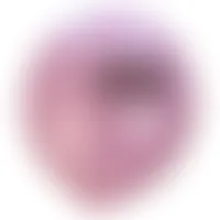 CustomPhoneWalletsNow.com