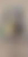 CustomPhoneWalletsNow.com - Roll Labels
