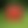 Custom Propaganda Yard Sign