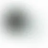 Circle Business Cards