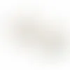 Square Business Cards