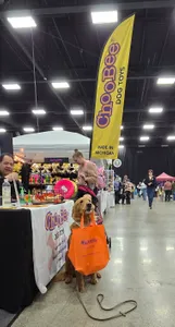 CustomPhoneWalletsNow.com - Custom Small Grocery Tote Bag