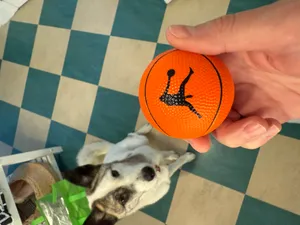 CustomPhoneWalletsNow.com