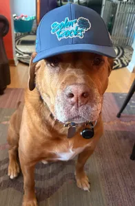 CustomPhoneWalletsNow.com - Full Color TPU