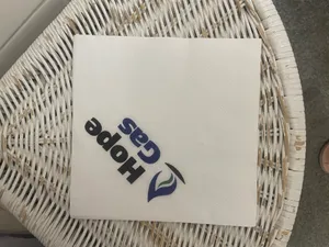 CustomPhoneWalletsNow.com - Custom Paper Luncheon Napkins