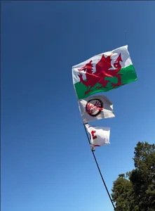 CustomPhoneWalletsNow.com - Rectangle Flag