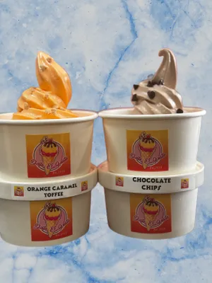 Ice Cream Container - It is the best product we have used for our ice cream