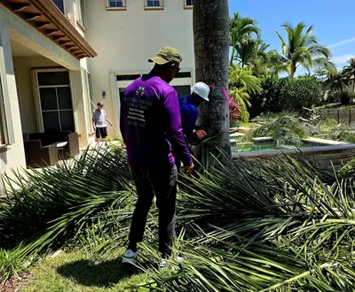 Pro-Lock Performance Long Sleeve T-Shirt - Taking down palm trees on the job The colors really pop in the sunlight