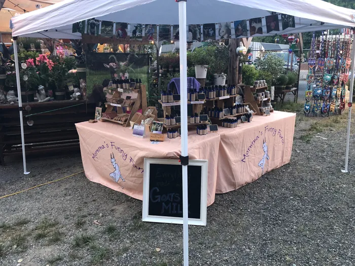 CustomPhoneWalletsNow.com