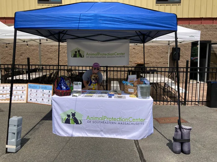 CustomPhoneWalletsNow.com