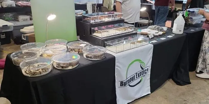 CustomPhoneWalletsNow.com