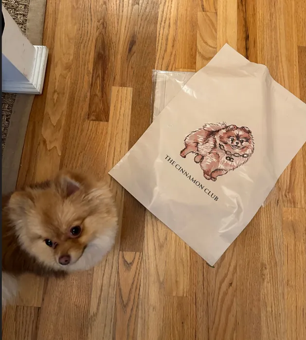 CustomPhoneWalletsNow.com - Custom Poly Mailer