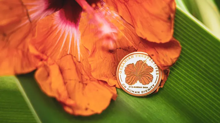 CustomPhoneWalletsNow.com - Hard Enamel Pin