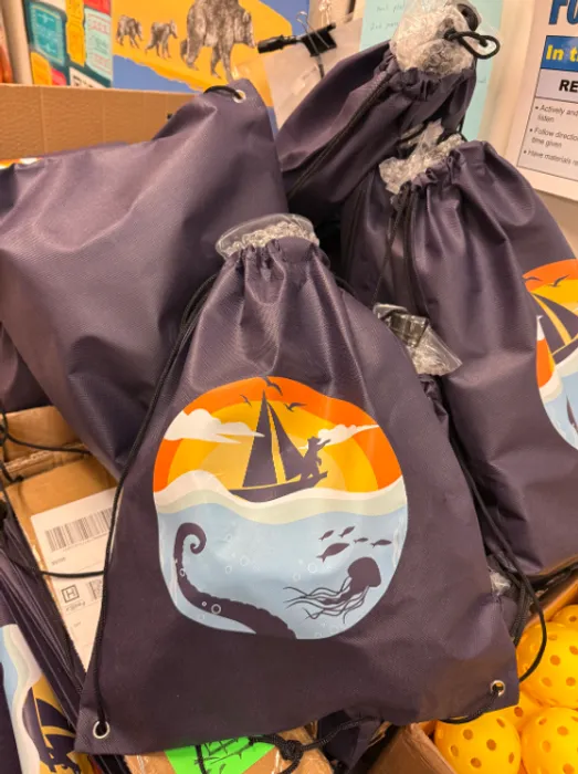 CustomPhoneWalletsNow.com - Custom Non-Woven Drawstring Bag