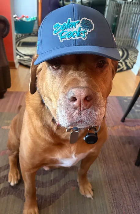 CustomPhoneWalletsNow.com - Full Color TPU