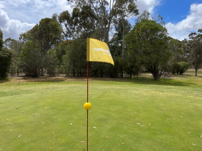 CustomPhoneWalletsNow.com - Golf Flag
