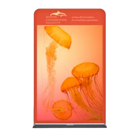 EZ Extend Displays - Custom Phone Wallets Now