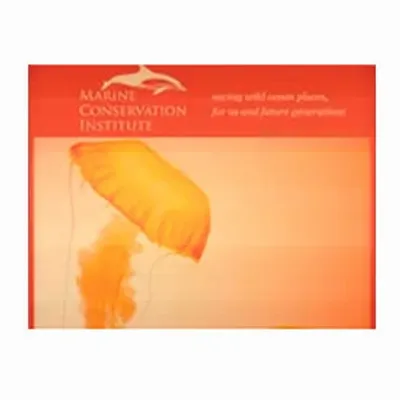 None - Custom Phone Wallets Now