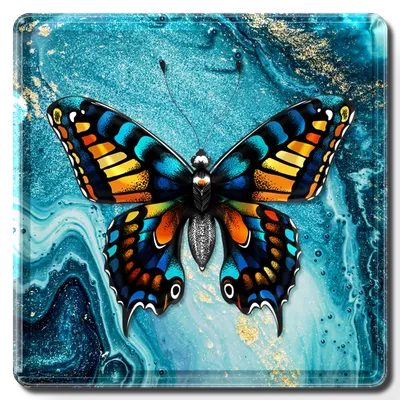 Square - Custom Phone Wallets Now