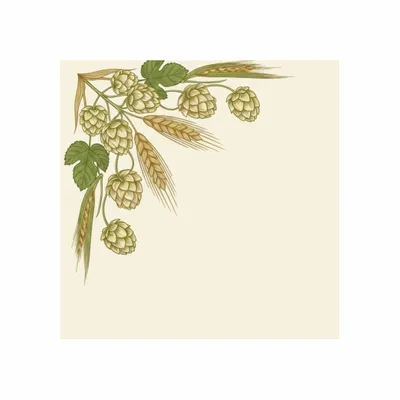 8 in x 8 in - Custom Phone Wallets Now