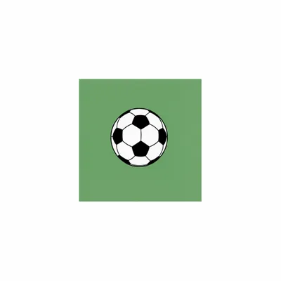 5 in x 5 in - Custom Phone Wallets Now