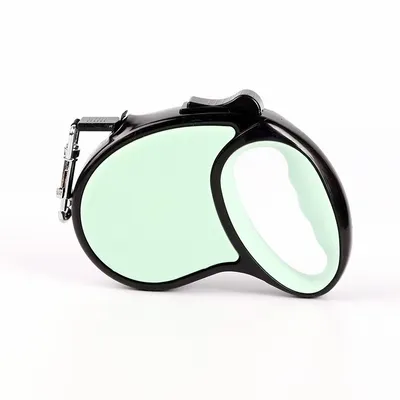 Mint Green - Custom Phone Wallets Now