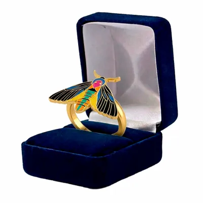 Blue Velvet Box - Custom Phone Wallets Now