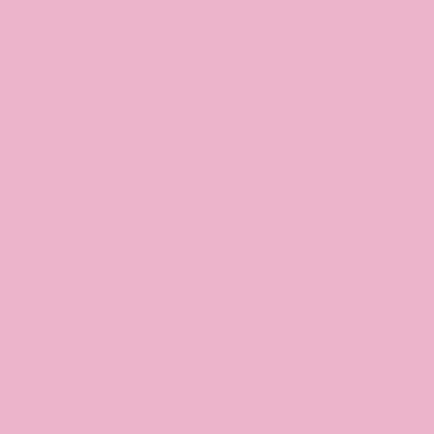 Light Pink - Custom Phone Wallets Now