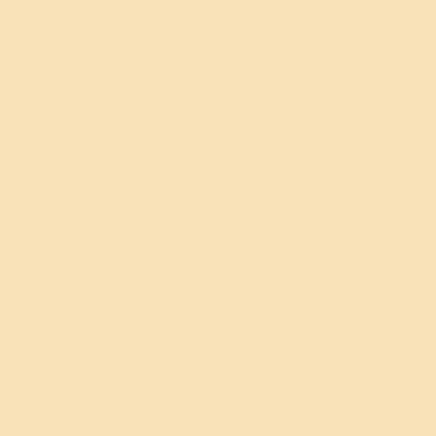 Beige - Custom Phone Wallets Now