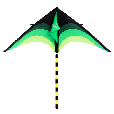 Arched-Edge Delta Kites