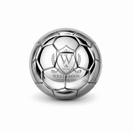 Soccer Ball Stainless Steel Ice Cubes - Custom Phone Wallets Now
