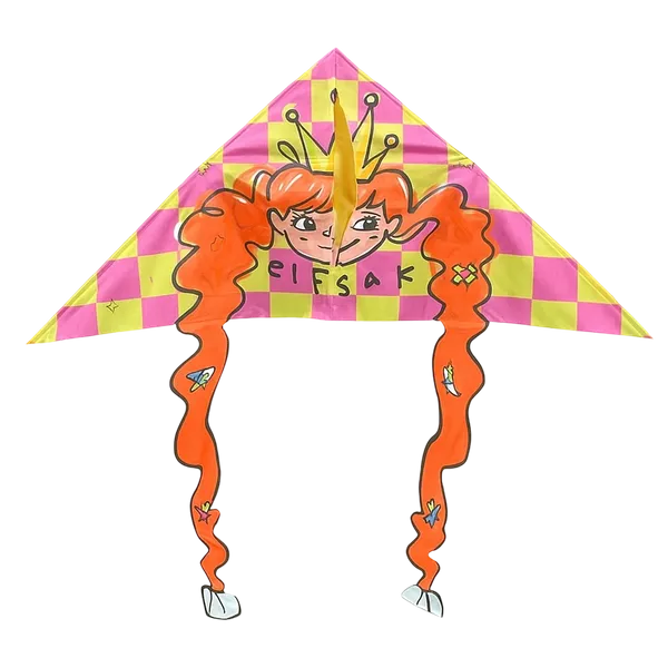 Creative Shape Kites