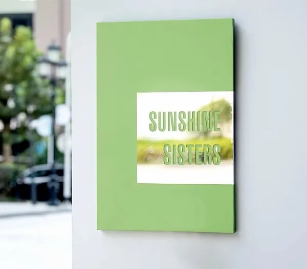 Contemporary Color Metal Plaque