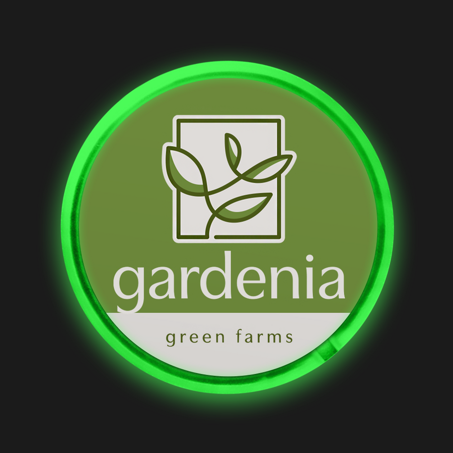 Light Button Pins - Custom Phone Wallets Now